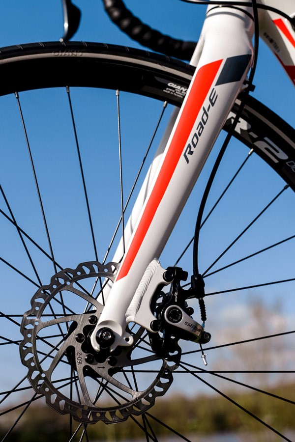 Giant Road-E+ front fork and disk breaks
